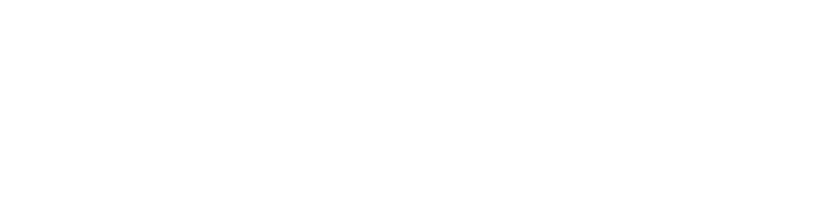 ViewEdge Laboratory Group Inc